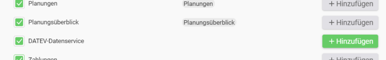 Configuration of the user group rights: right for the DATEV booking-data service present, menu items still missing