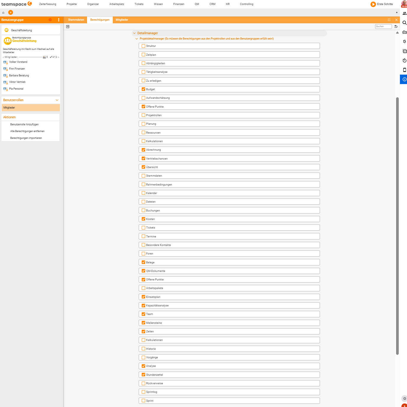 'Detail manager' permission list with views that can be switched on/off, such as Overview, Master data, Budget, Open items, Documents, QM documents, Team, Milestones, Deployment plan, Capacity analysis, Analysis, Timesheet, Sprint