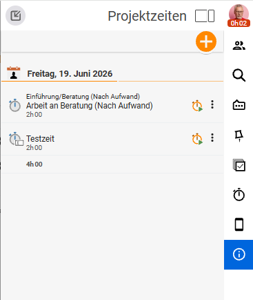 Project-times sidebar with the project times booked on a day (Consulting, Test time) and their totals