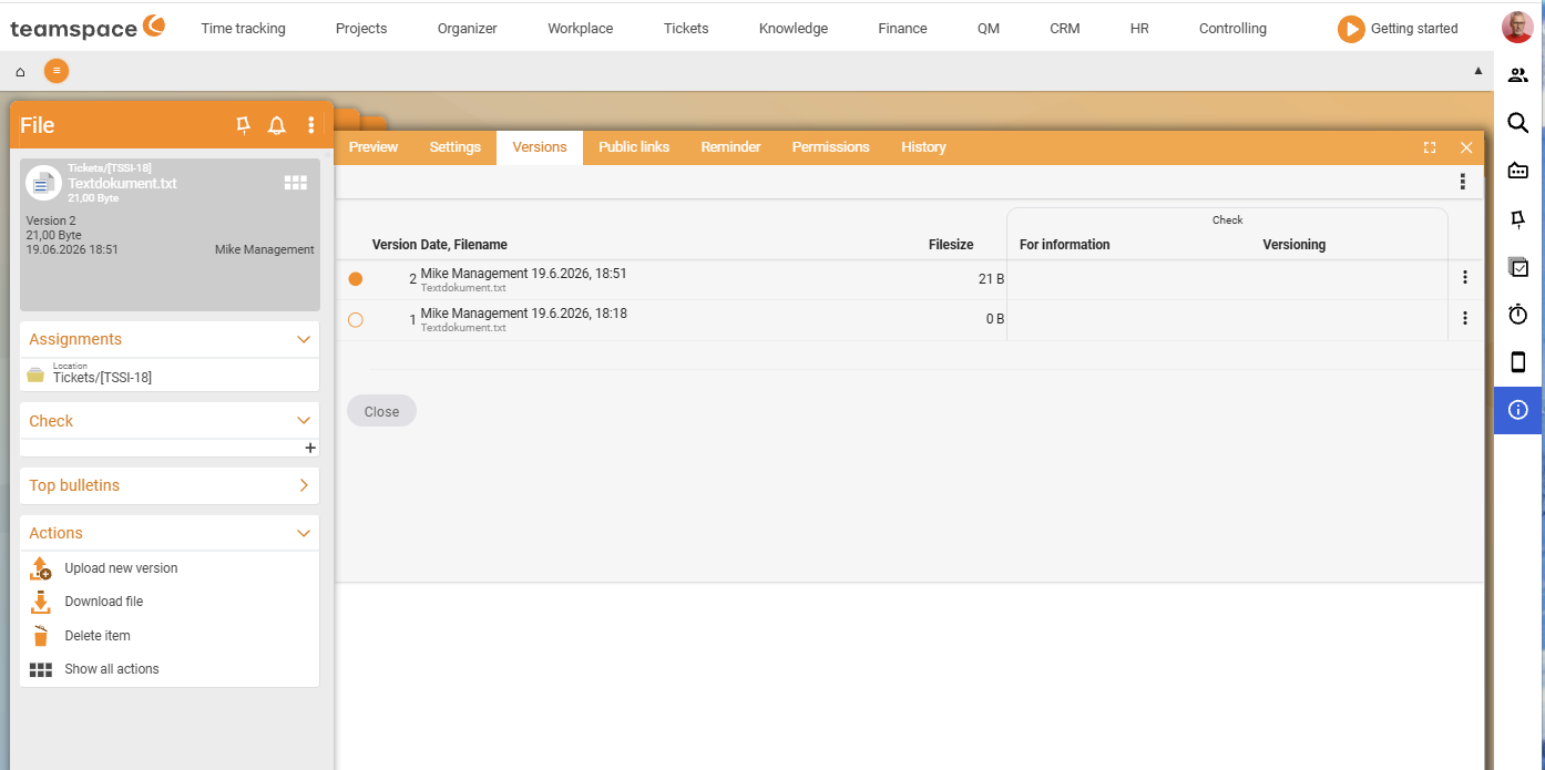 Detail manager of a file on the Versions tab: a table with Version 2 and 1, the columns Date/File name and File size and the Review group; a three-dots menu at the end of each row