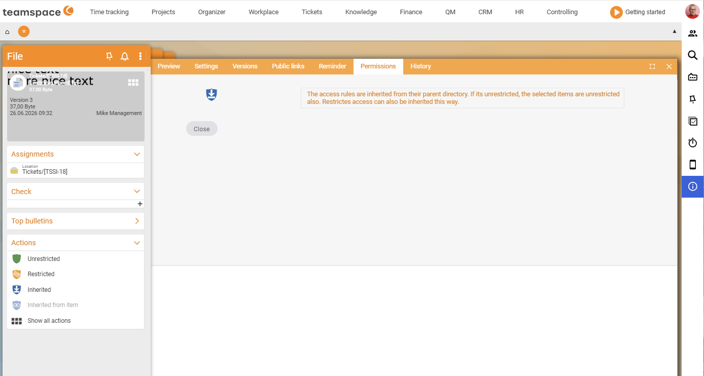 File detail manager on the Permissions tab with the access modes Unrestricted, Restricted, Inherited and Inherited from element in the Actions sidebar